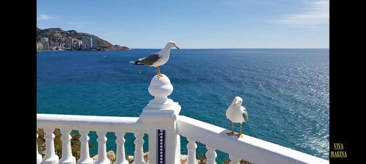 Apartamento Sun Beach Бенидорм Екстериор снимка